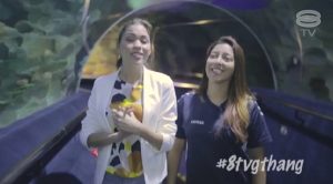 8TV-gthang