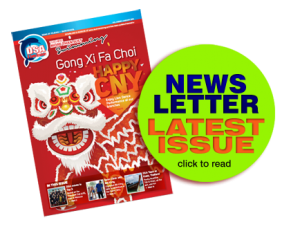 DSA-newsletter-latest