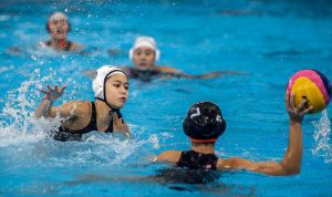 DSA-Waterpolo-program