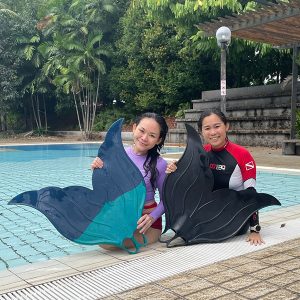 dsa mermaid course