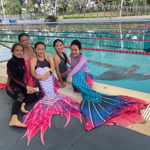 dsa mermaid course