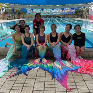 dsa mermaid course